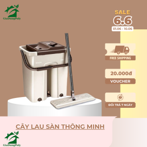 Cây Lau Sàn Thông Minh